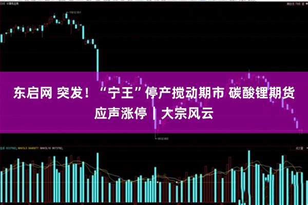 东启网 突发！“宁王”停产搅动期市 碳酸锂期货应声涨停｜大宗风云